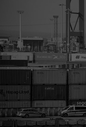 海關(guān)數(shù)據(jù)客戶(hù)開(kāi)發(fā)解決方案